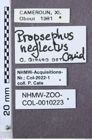 Etiketten zu Propsephus fulvipes (NHMW-ZOO-COL-0010223)